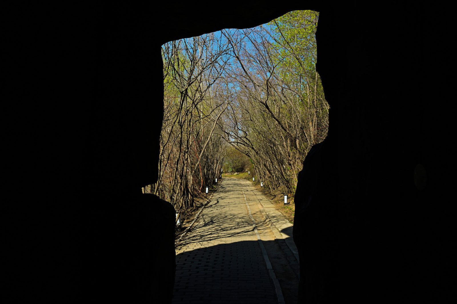 山洞外春意盎然的林间小道